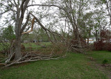 TREES AND LIMBS WERE DOWN EVERYWHERE