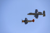 IMG_2508fix800.jpg