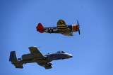 IMG_2525fix800.jpg