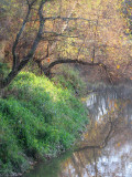 fall