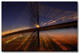 BayBridge Zoom