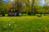 167 Abandoned Spring 1.jpg