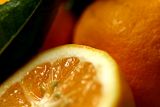 A dose of vitamin C