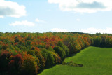 Roadside colors
