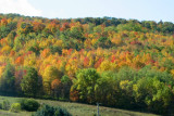 A swath of color