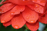 October 12, 2006Water Drops