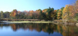 Colonie Town Park Colors