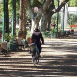rabbi bike gan meir