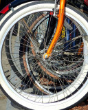 bicycle wheels