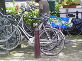 ams bike flowers.JPG