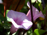 13 JUL 08