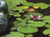 26 JUN 08