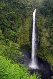 Akaka Falls