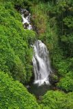 Falls