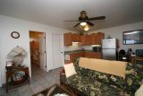 Living Area (Kitchenette in background)