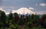 Mt. Fuji