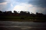 Countryside