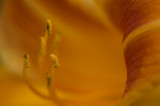 DSC_0163.jpg