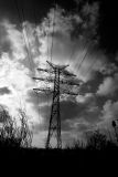 _MG_7485 copy.jpg