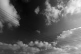 _MG_7542 copy.jpg