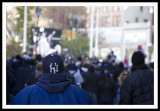 Yankees Parade 2009