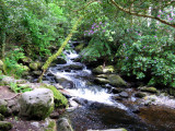 At the bottom of Torc waterfall
