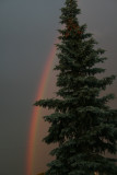 1st rainbow