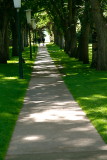 Walking the grounds
