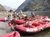 Our fleet of boats consisted of four passenger boats