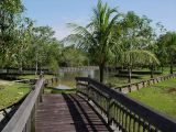 Kolam Pancing Badak - masih banyak terlihat burung air
