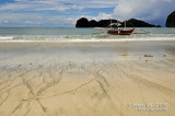 D300_13916 Gota Beach copy.jpg