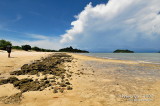 D300_14147 Sabitang Laya Island copy.jpg