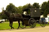 Holmesville OH Amish Buggy
