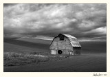 20080611_Palouse_0012 BW.jpg