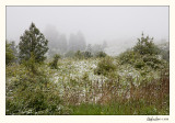 20080610_Palouse_0009.jpg