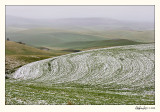 20080610_Palouse_0027.jpg