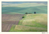 20080610_Palouse_0032.jpg