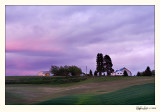 20080611_Palouse_0031.jpg