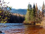 au bord de la rivière