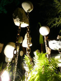 Rock Garden