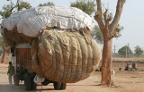 Hmmmm. What is in there?