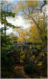 The Ramble Arch