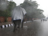 Our driver said, Very big umbrella, sir!