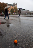 Orange on a very gray Sunday