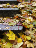 Late October
