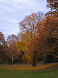 October colours