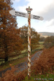 Crowned Sign.