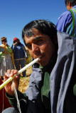 Part of the Totora reed is edible