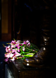 Flowers at Cenataph