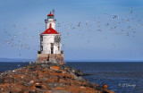 95 - Superior Entry Lighthouse With Flock Of Seagulls